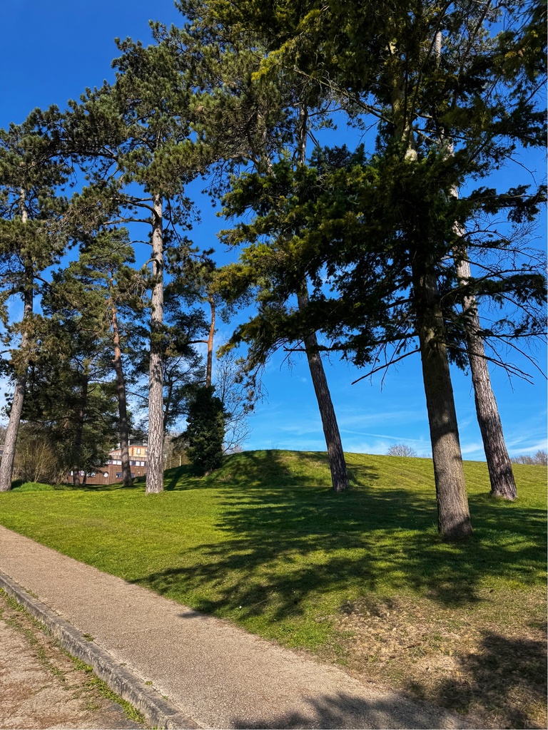 Consulter cet article