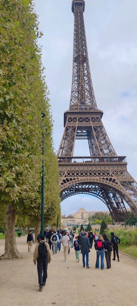 Consulter cet article