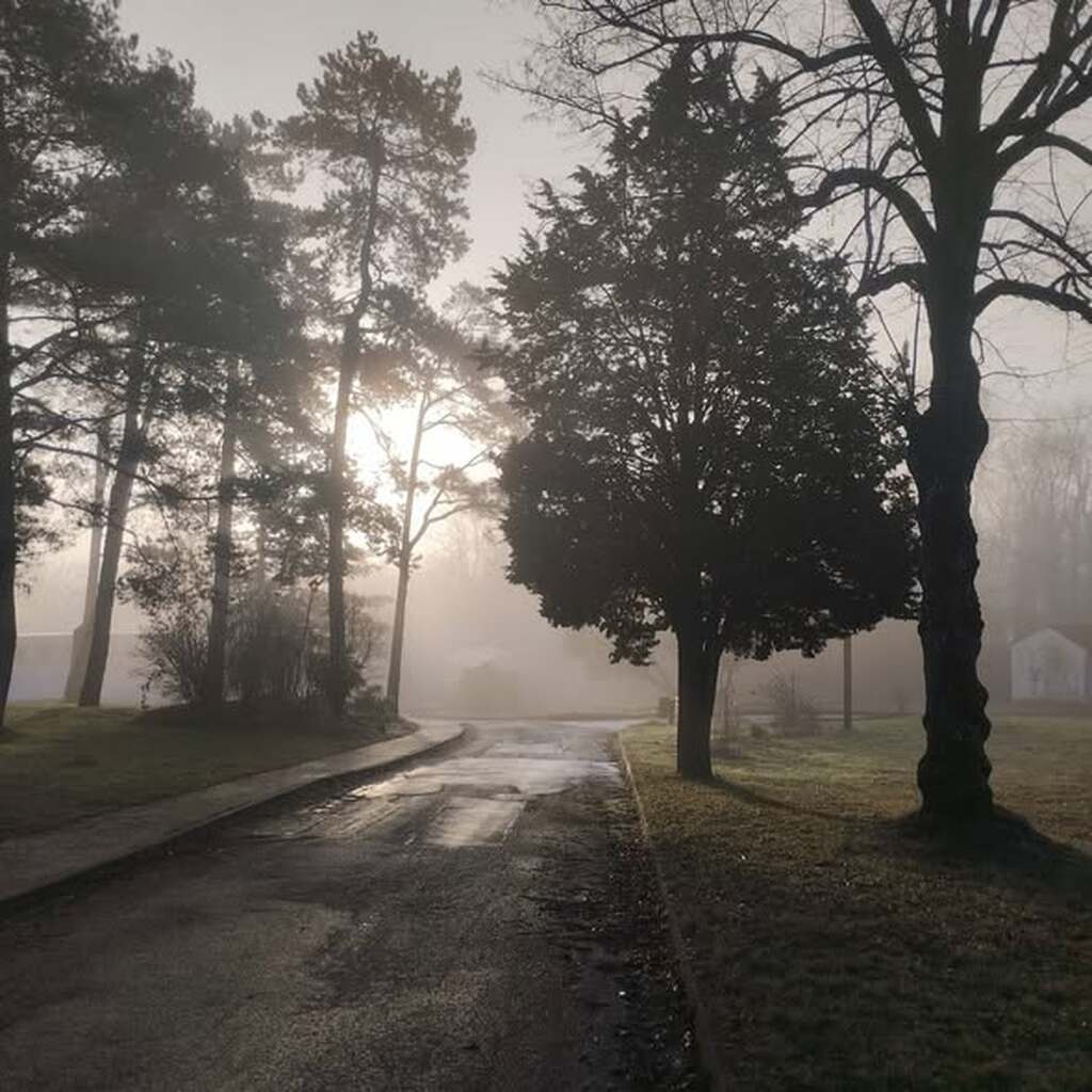 Consulter cet article